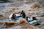 Traci, Kathleen, Kasia, and Dawna hang on while Kat rows